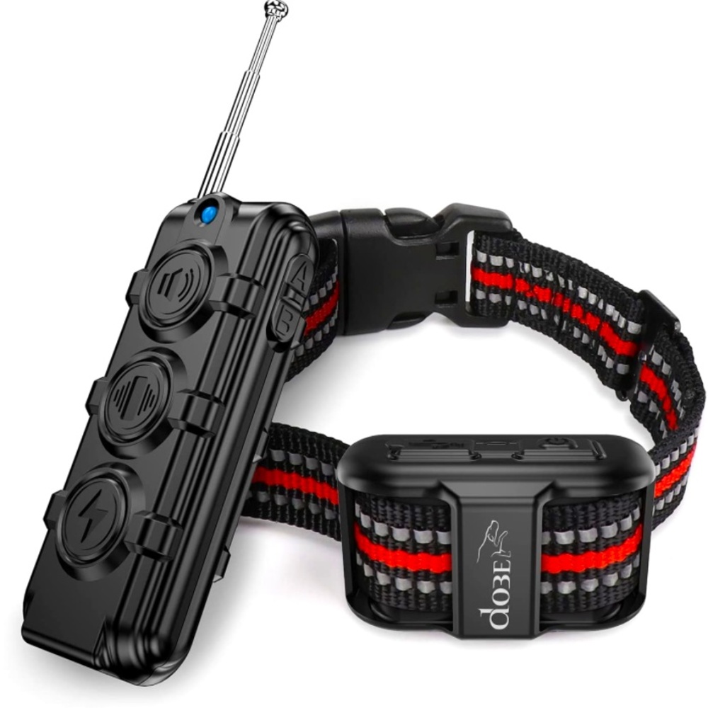 collar dog training